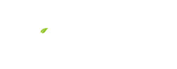 京津国际
