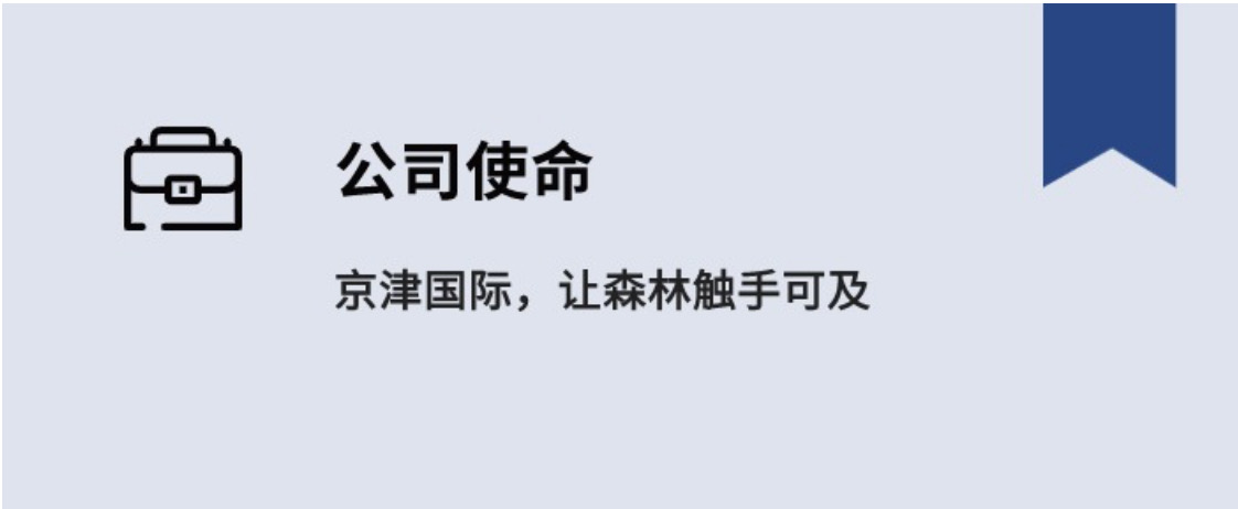 企业使命